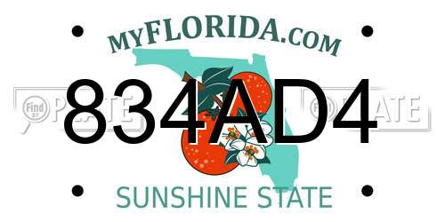 834AD4 Florida License Plate