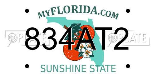 834AT2 Florida License Plate