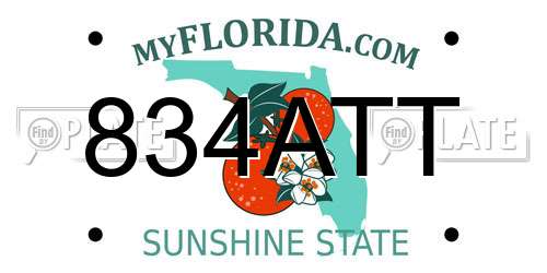 834ATT Florida License Plate