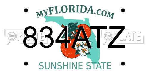834ATZ Florida License Plate
