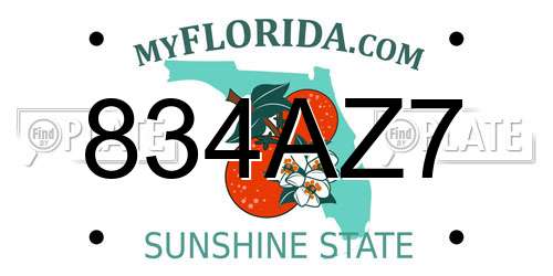 834AZ7 Florida License Plate
