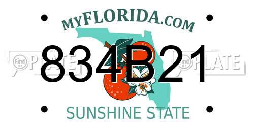 834B21 Florida License Plate