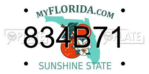 834B71 Florida License Plate