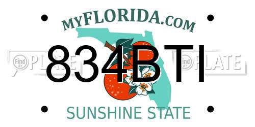 834BTI Florida License Plate