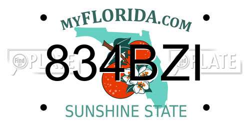834BZI Florida License Plate