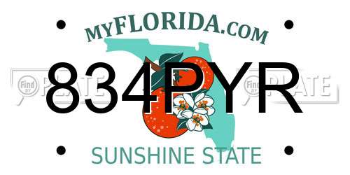 834PYR Florida License Plate