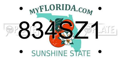 834SZ1 Florida License Plate