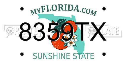 8359TX Florida License Plate