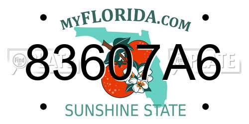 83607A6 Florida License Plate