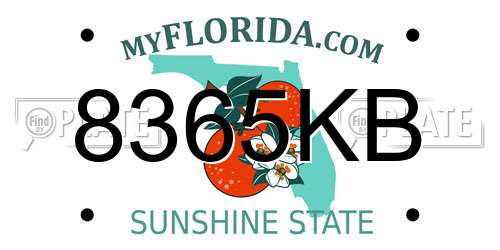 8365KB Florida License Plate