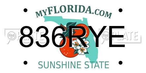 836RYE Florida License Plate