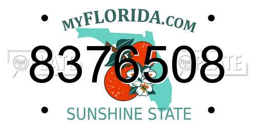 8376508 Florida License Plate