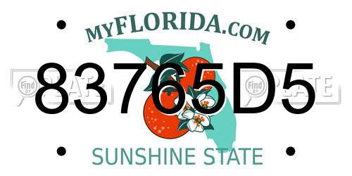 83765D5 Florida License Plate
