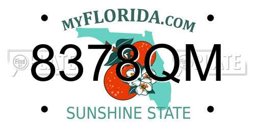 8378QM Florida License Plate