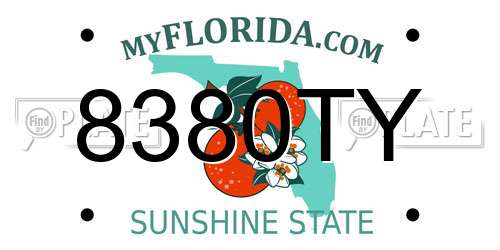 8380TY Florida License Plate