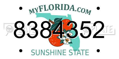 8384352 Florida License Plate