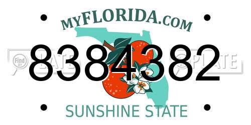 8384382 Florida License Plate