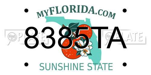 8385TA Florida License Plate