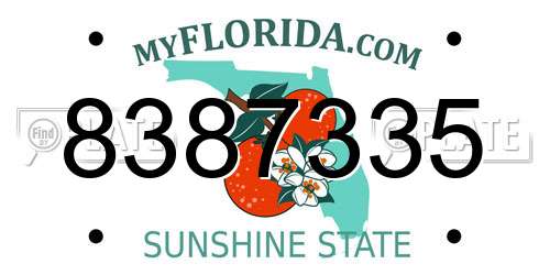 8387335 Florida License Plate