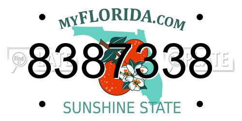 8387338 Florida License Plate