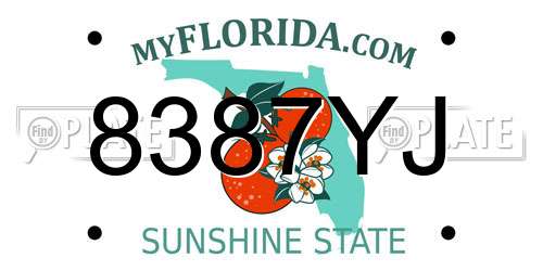 8387YJ Florida License Plate