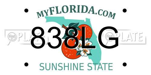 838LG Florida License Plate