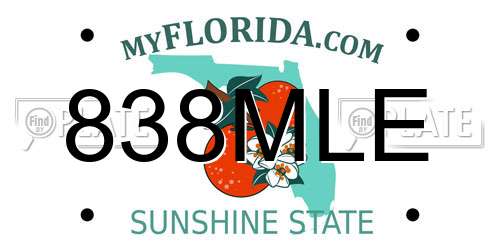 838MLE Florida License Plate