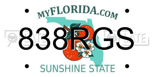 838RGS Florida License Plate
