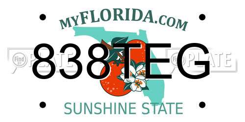 838TEG Florida License Plate