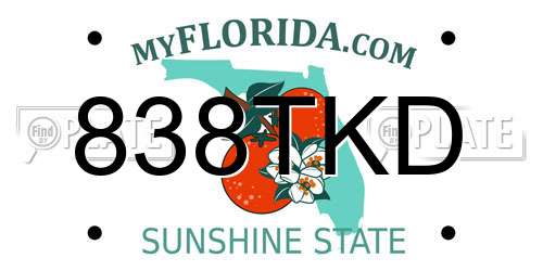 838TKD Florida License Plate