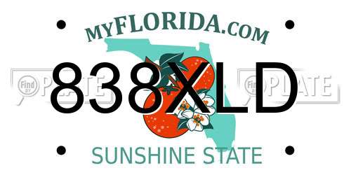 838XLD Florida License Plate