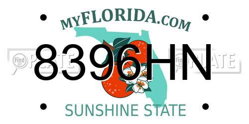 8396HN Florida License Plate