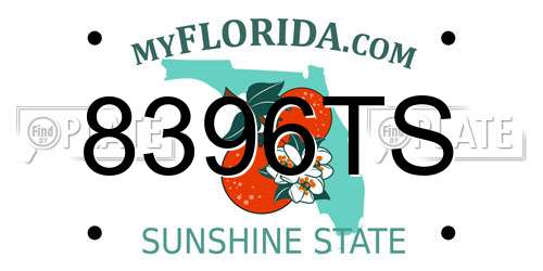 8396TS Florida License Plate