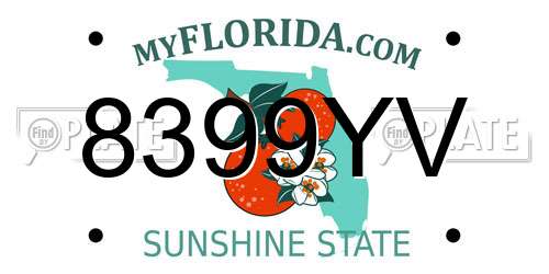 8399YV Florida License Plate