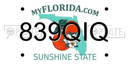 839QIQ Florida License Plate