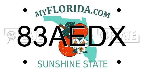 83AEDX Florida License Plate