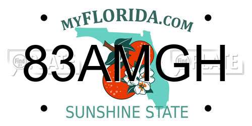 83AMGH Florida License Plate