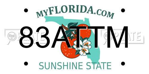 83ATTM Florida License Plate