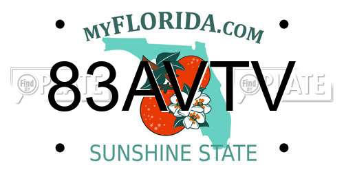 83AVTV Florida License Plate