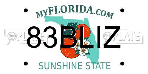 83BLIZ Florida License Plate