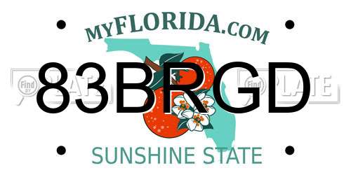 83BRGD Florida License Plate