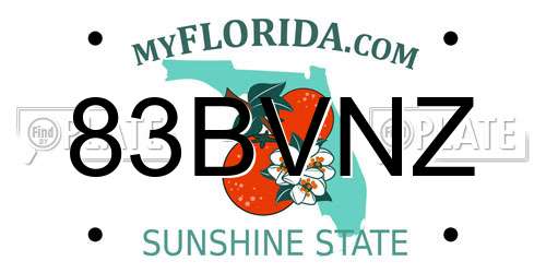 83BVNZ Florida License Plate
