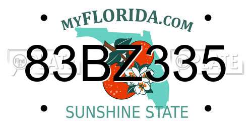 83BZ335 Florida License Plate