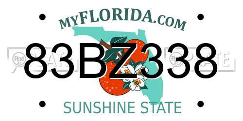 83BZ338 Florida License Plate