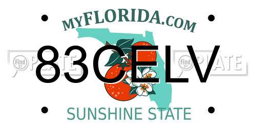 83CELV Florida License Plate