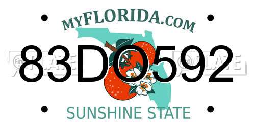 83DO592 Florida License Plate