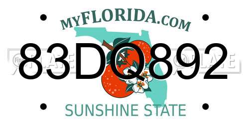 83DQ892 Florida License Plate