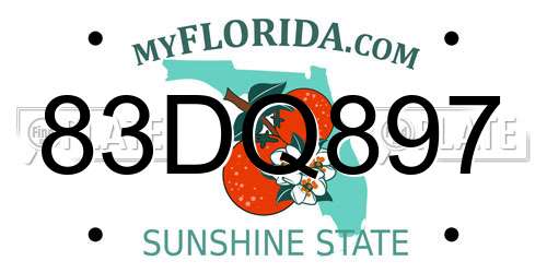 83DQ897 Florida License Plate
