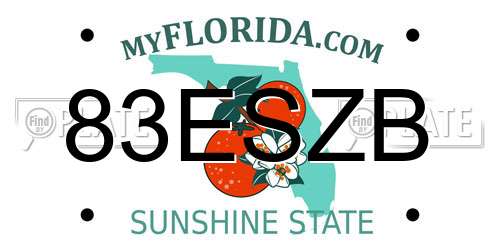 83ESZB Florida License Plate