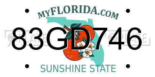 83GD746 Florida License Plate